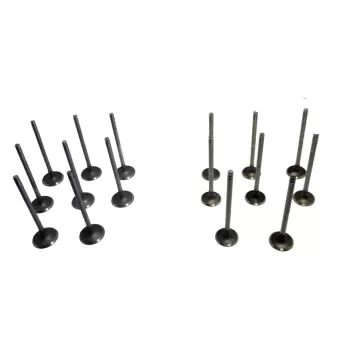 سوپاپ دود ام وی ام ۱۱۰S (نیو) + شش ماه ضمانت تعویض  371-1007012